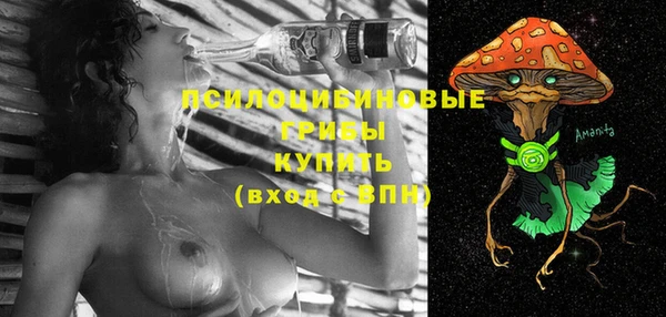 ешки Калининец
