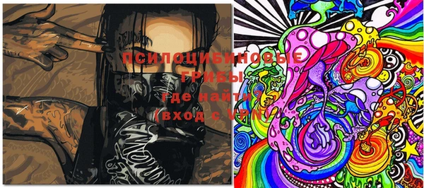 ешки Калининец