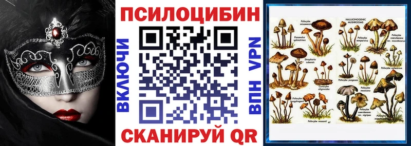 KRAKEN ONION  Городище  Галлюциногенные грибы Psilocybine cubensis 